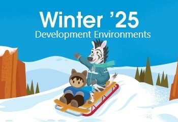 Salesforce Winter’25 Release Notes | Development – Development Environments