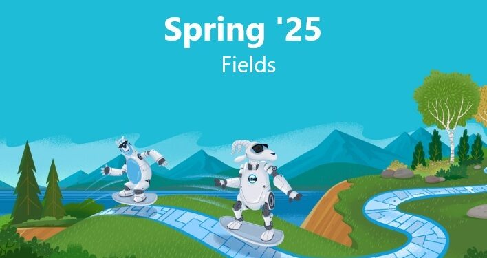 Salesforce Spring’25 Release Notes | Fields