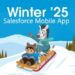 Salesforce Winter’25 Release Notes | Salesforce Mobile App